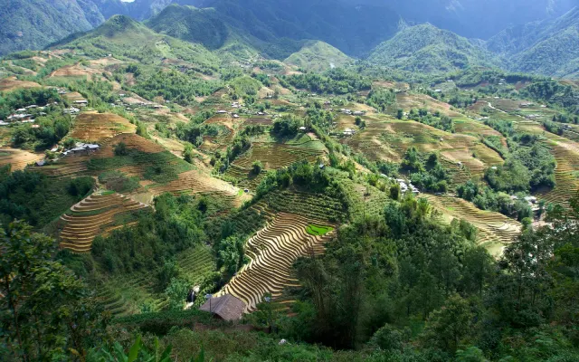 Ruộng bậc thang trong thung lũng Mường Hoa, Sa Pa, Lào Cai